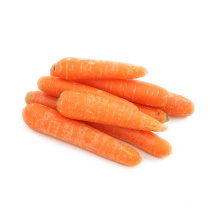 hot sale cheap carrots seller